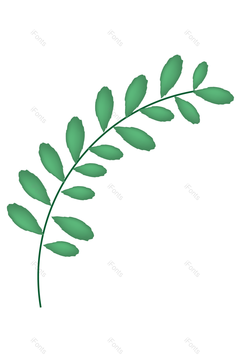 绿叶图片,花卉元素,花草PNG,树叶免抠素材